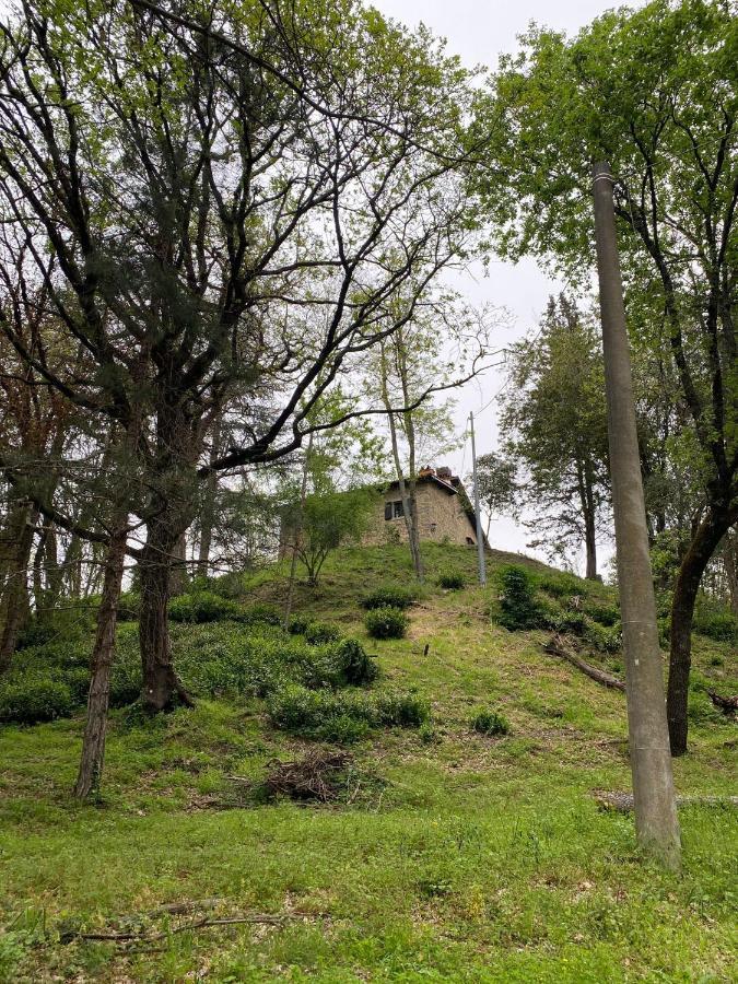 Naturemugello Oasi Naturista Dicomano Εξωτερικό φωτογραφία