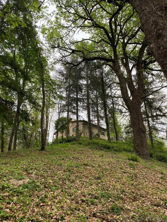 Naturemugello Oasi Naturista Dicomano Εξωτερικό φωτογραφία